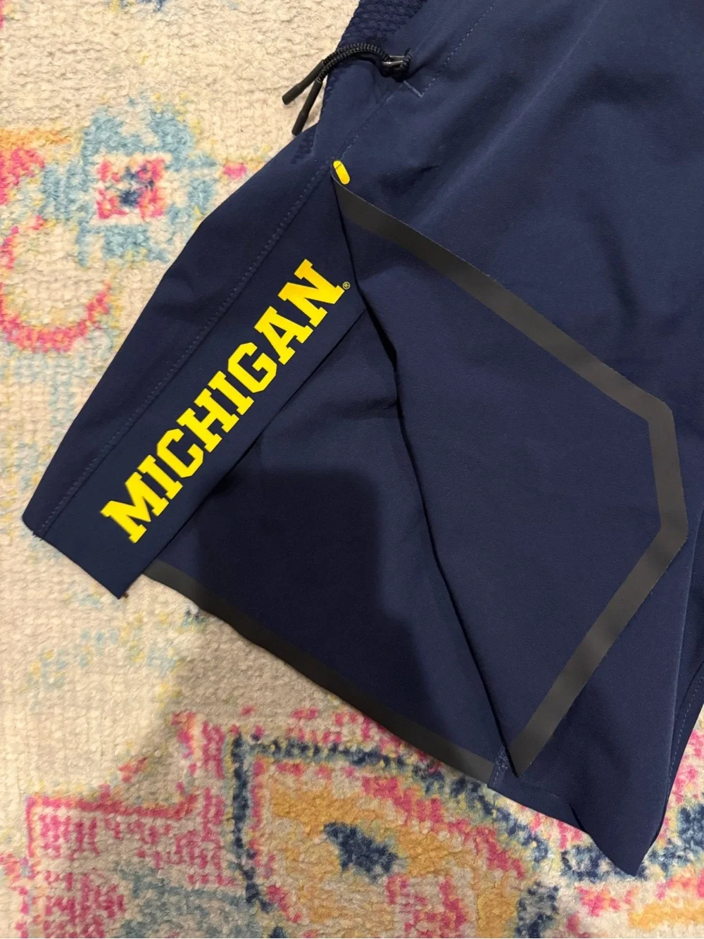 Jordan Men's Michigan Shorts